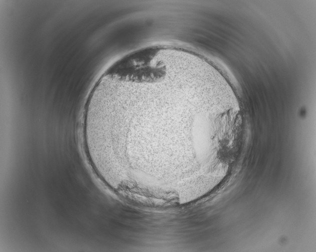 X0000116630903201001221358