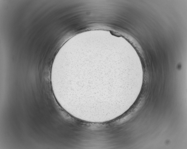 X0000116630905201001221358