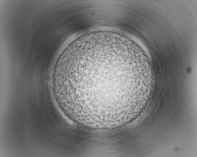 X0000116630906201001221358