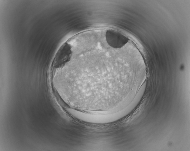 X0000116630907201001221358