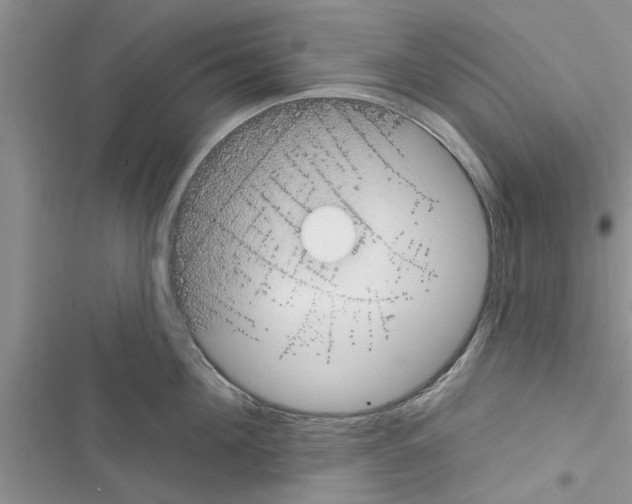 X0000116630908201001221358