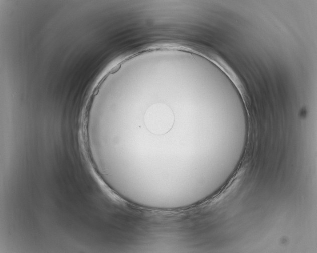 X0000116630909201001221358