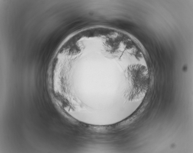 X0000116630911201001221358