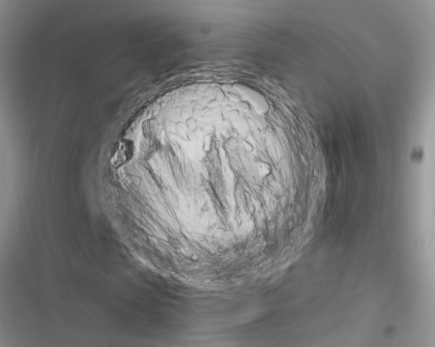 X0000116630913201001221357