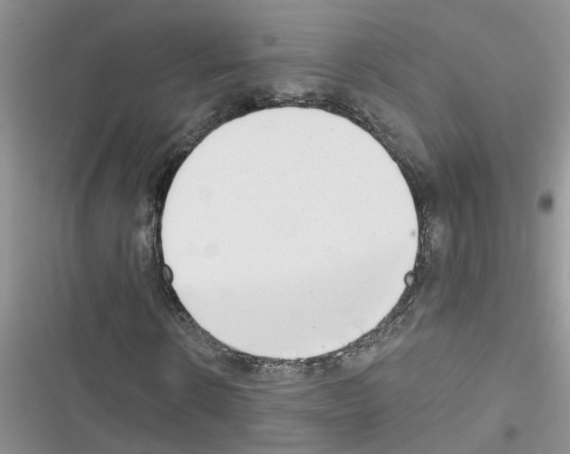X0000116630914201001221357