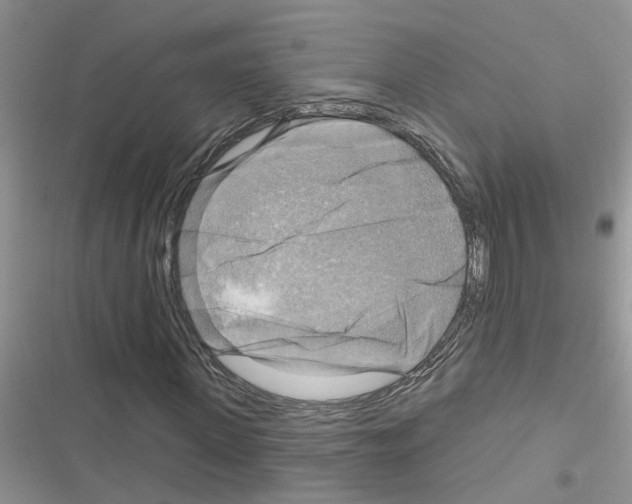 X0000116630915201001221357