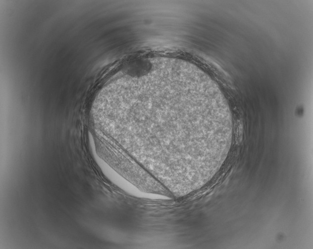 X0000116630917201001221357
