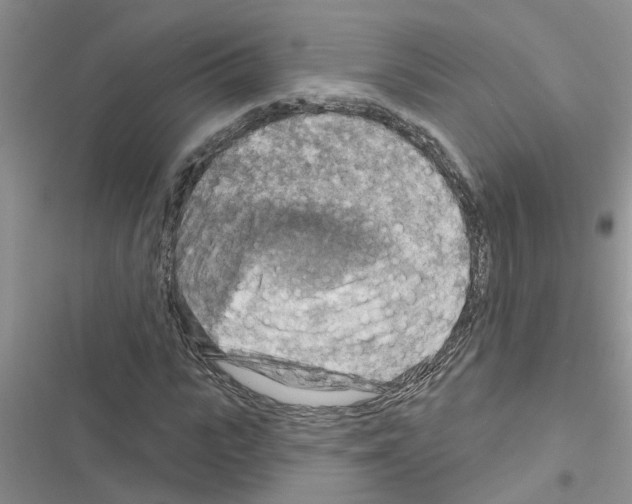 X0000116630919201001221357