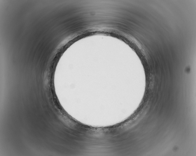 X0000116630922201001221357