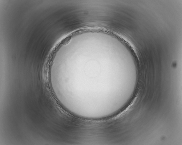 X0000116630925201001221357