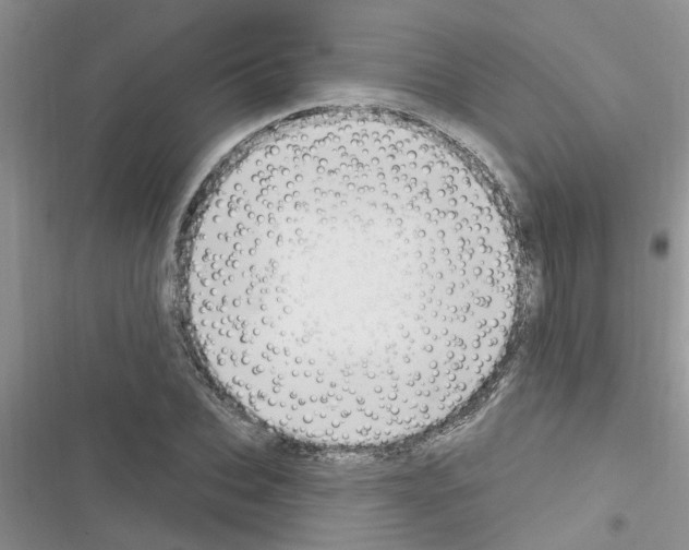 X0000116630927201001221357