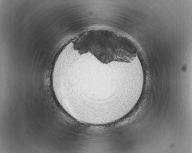 X0000116630929201001221357