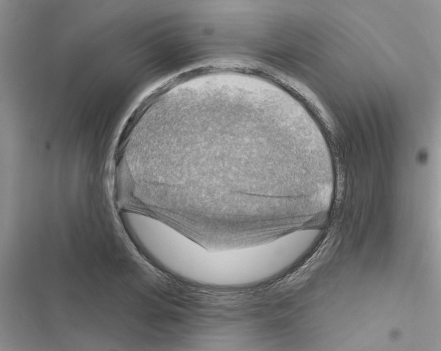 X0000116630935201001221358