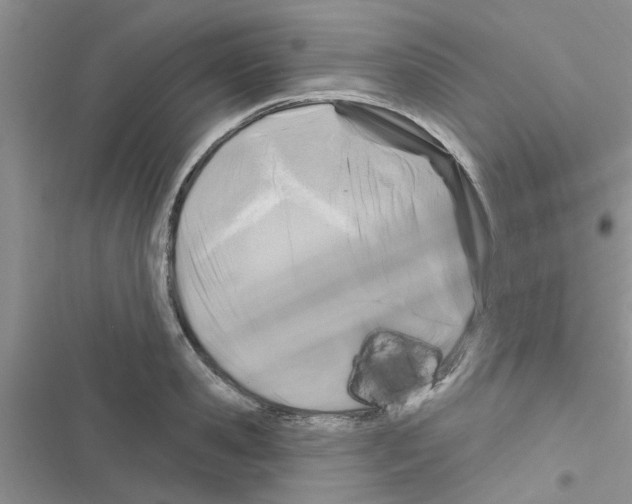 X0000116630941201001221358