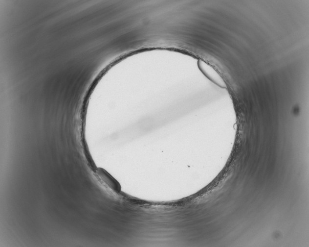 X0000116630942201001221358
