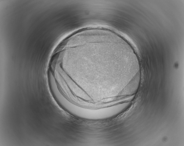 X0000116630943201001221358