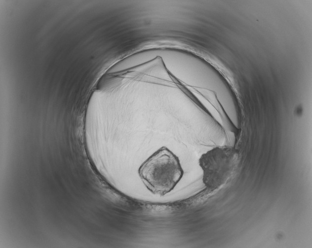 X0000116630945201001221358