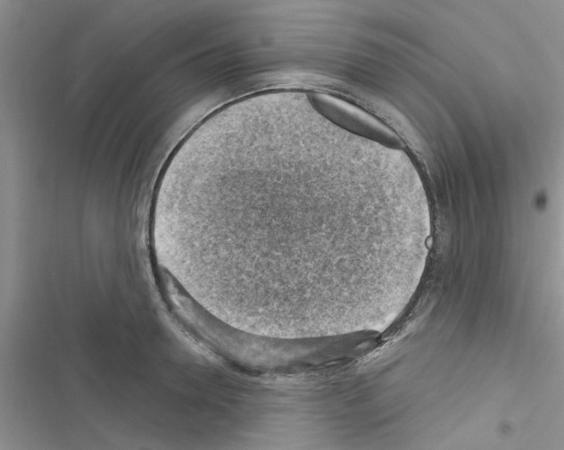 X0000116630946201001221358