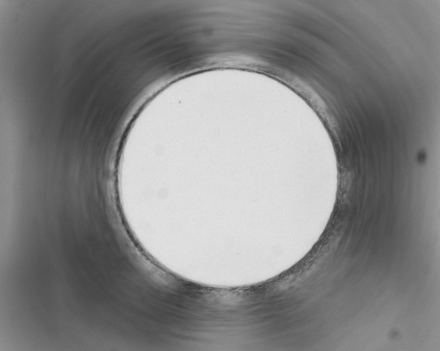 X0000116630947201001221358