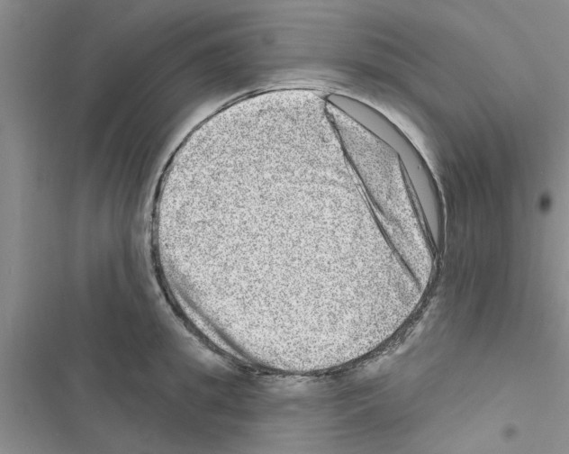 X0000116630949201001221358
