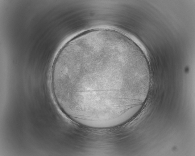 X0000116630951201001221358