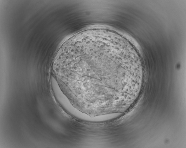 X0000116630953201001221358