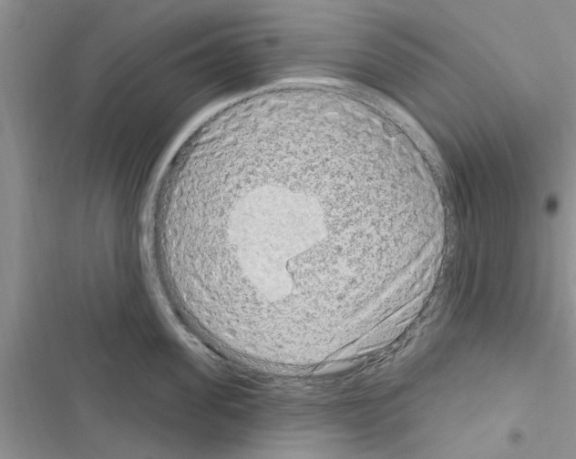 X0000116630955201001221358