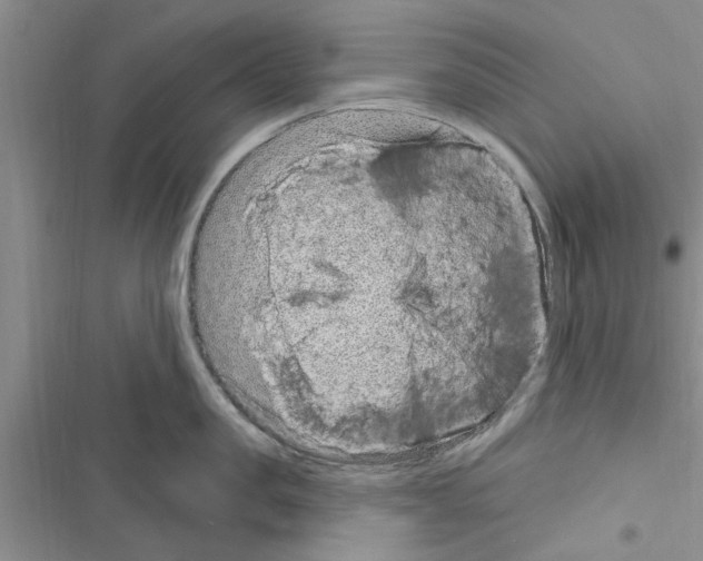 X0000116630957201001221358