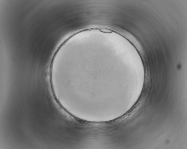 X0000116630958201001221358