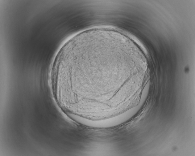 X0000116630959201001221358