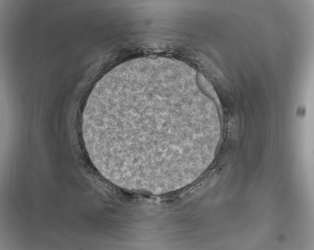 X0000116630961201001221357