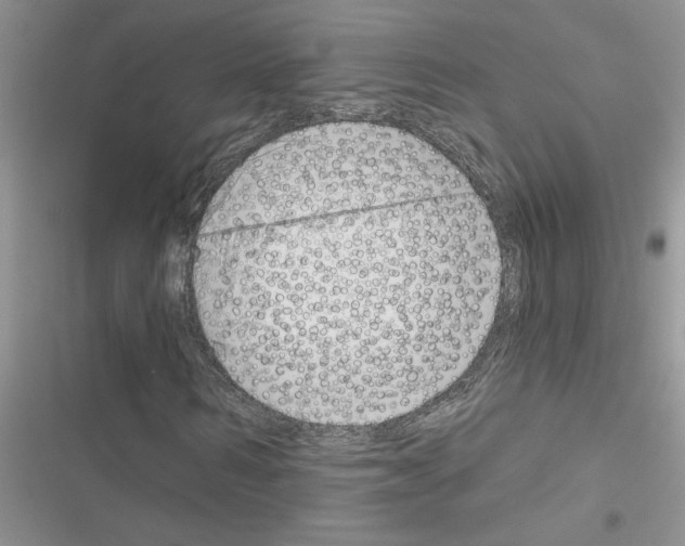 X0000116630962201001221357