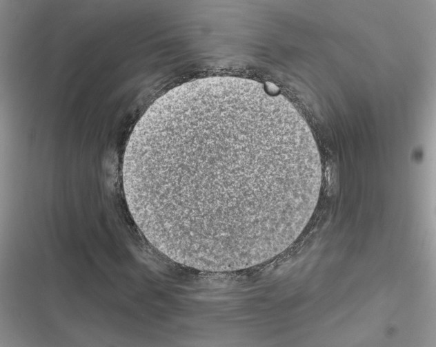 X0000116630963201001221357