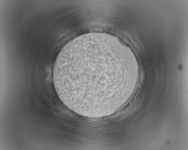 X0000116630964201001221357