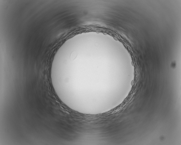 X0000116630965201001221357