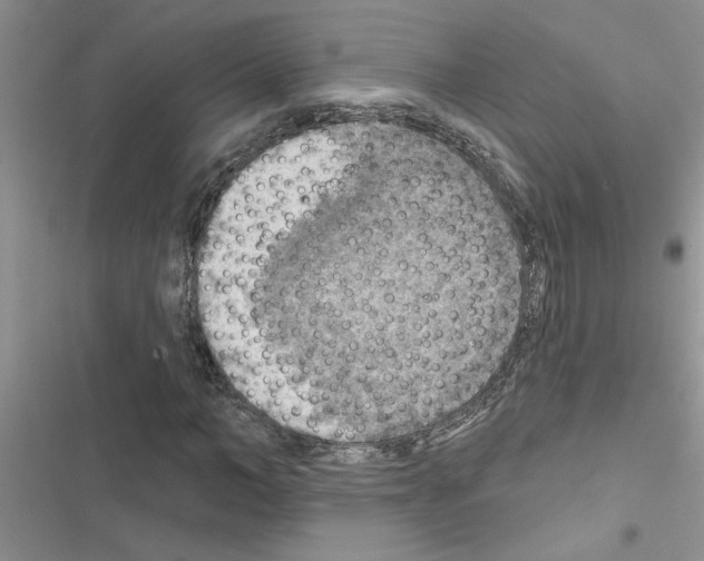 X0000116630966201001221357