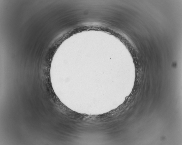 X0000116630967201001221357