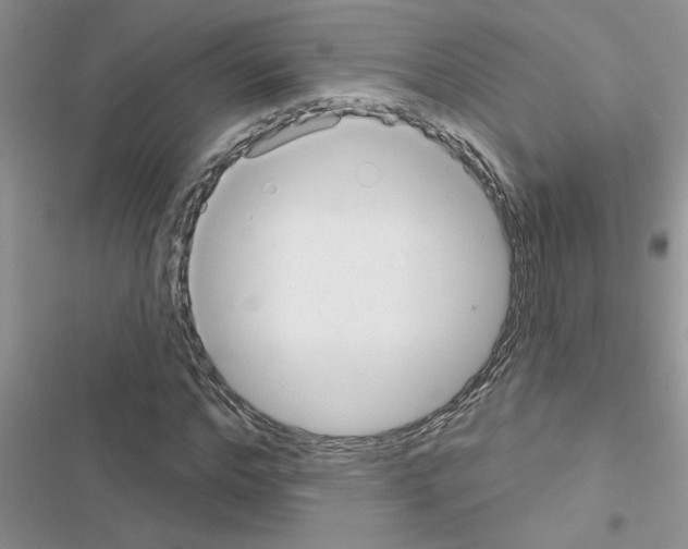 X0000116630968201001221357