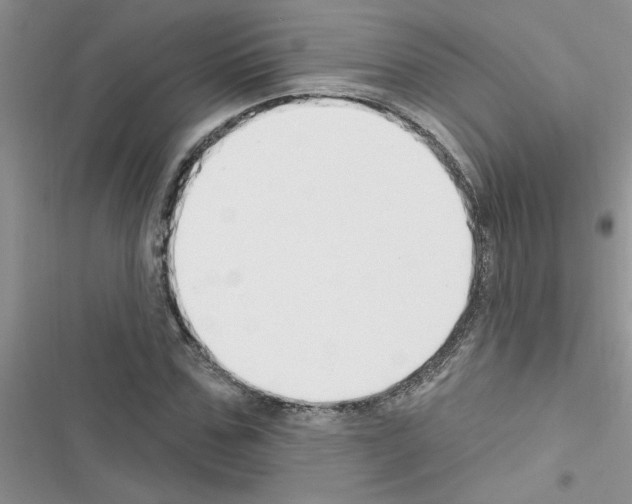 X0000116630971201001221357