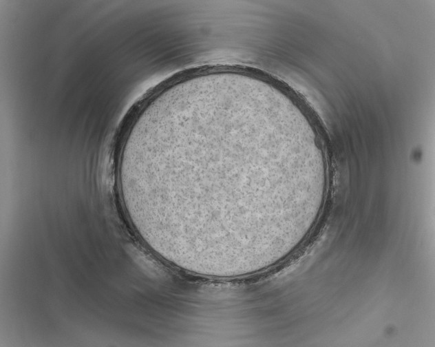 X0000116630973201001221357