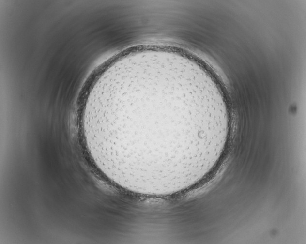 X0000116630974201001221357