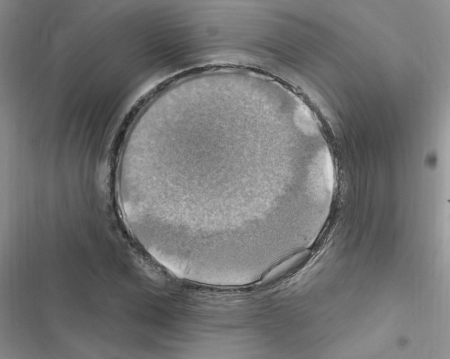 X0000116630975201001221357