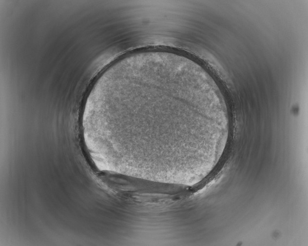 X0000116630977201001221357