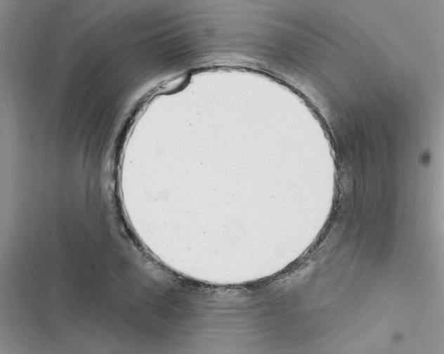 X0000116630979201001221357