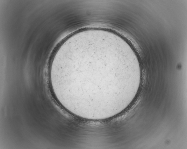 X0000116630982201001221357