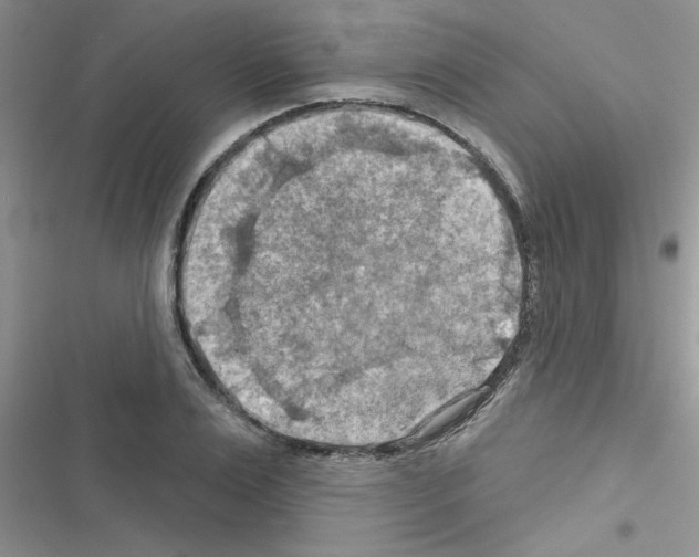 X0000116630983201001221357