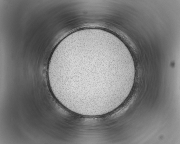 X0000116630985201001221357