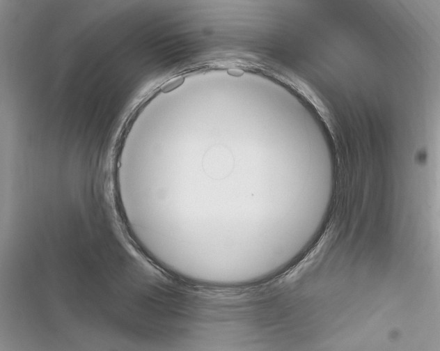 X0000116630986201001221357