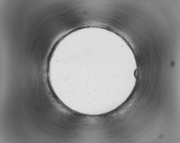 X0000116630987201001221357
