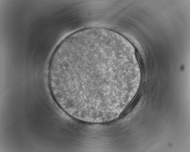 X0000116630992201001221357